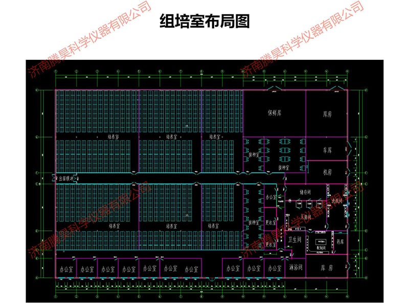 叼嘿下载视频室