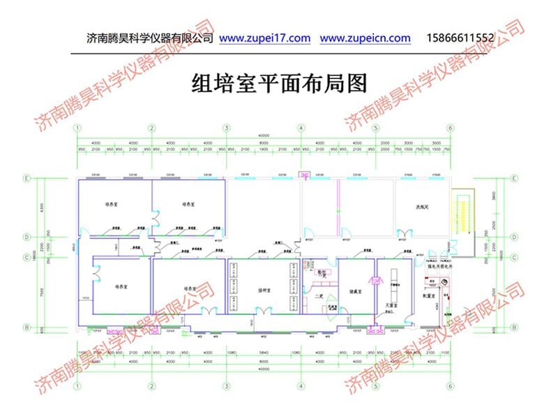 叼嘿下载视频室