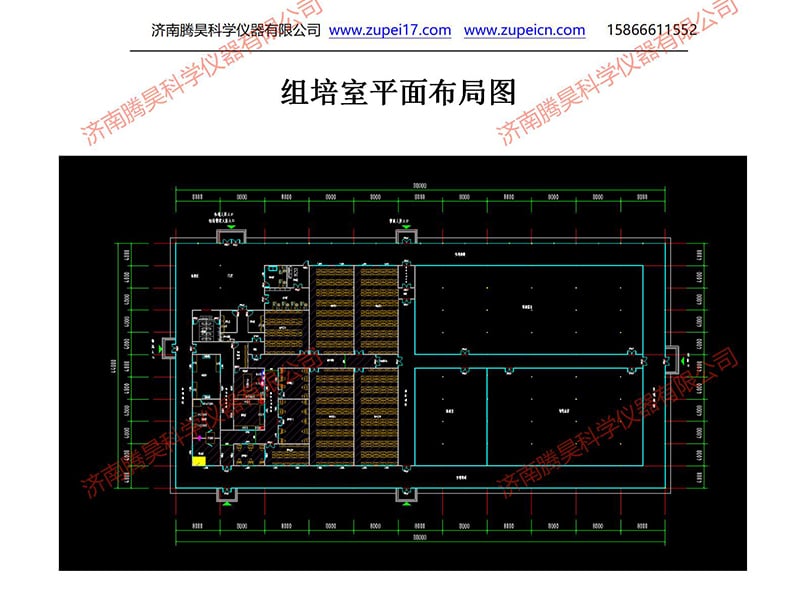 叼嘿下载视频  叼嘿下载视频室