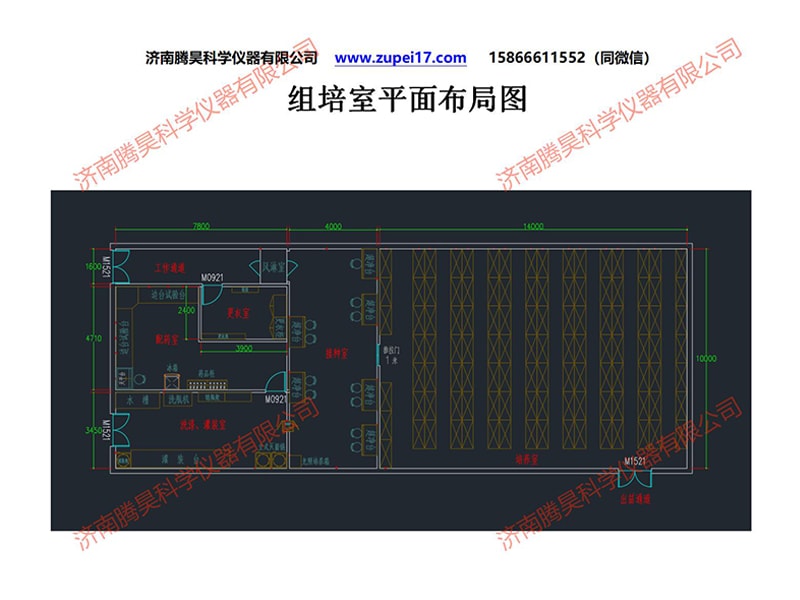 叼嘿下载视频室