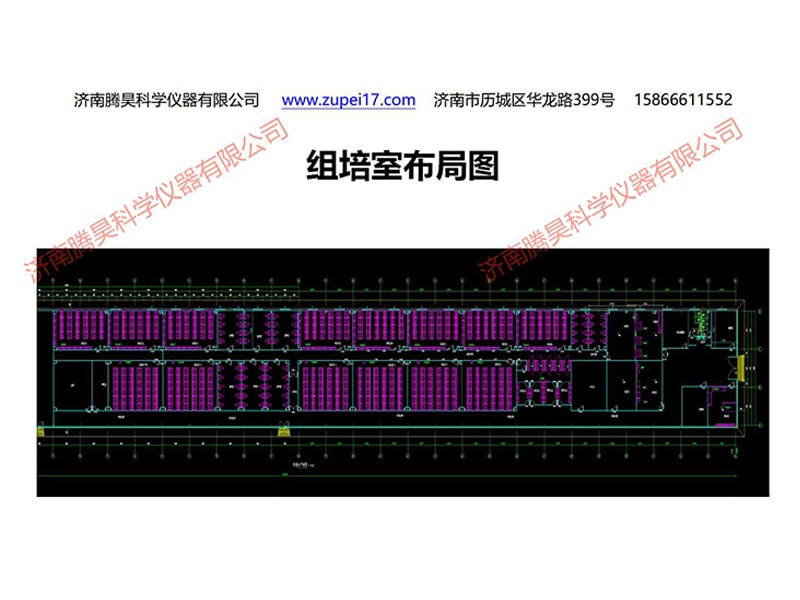 叼嘿下载视频  叼嘿下载视频室