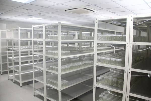 叼嘿下载视频架