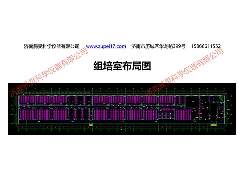 叼嘿下载视频室