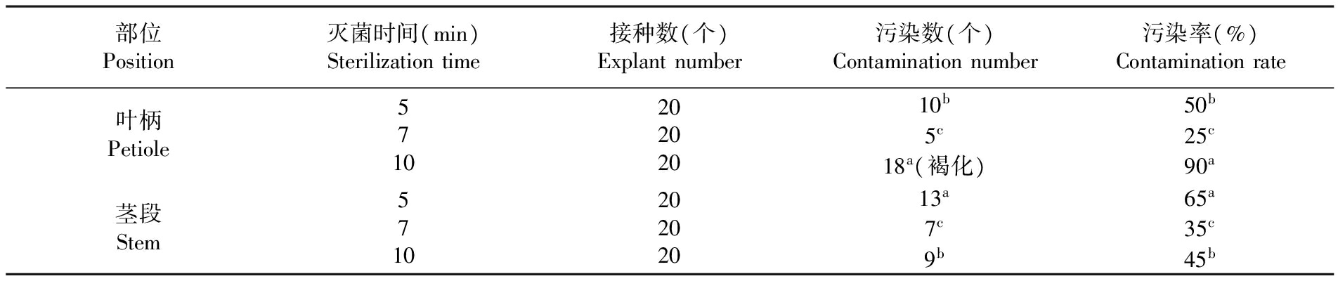 植物叼嘿下载视频设备