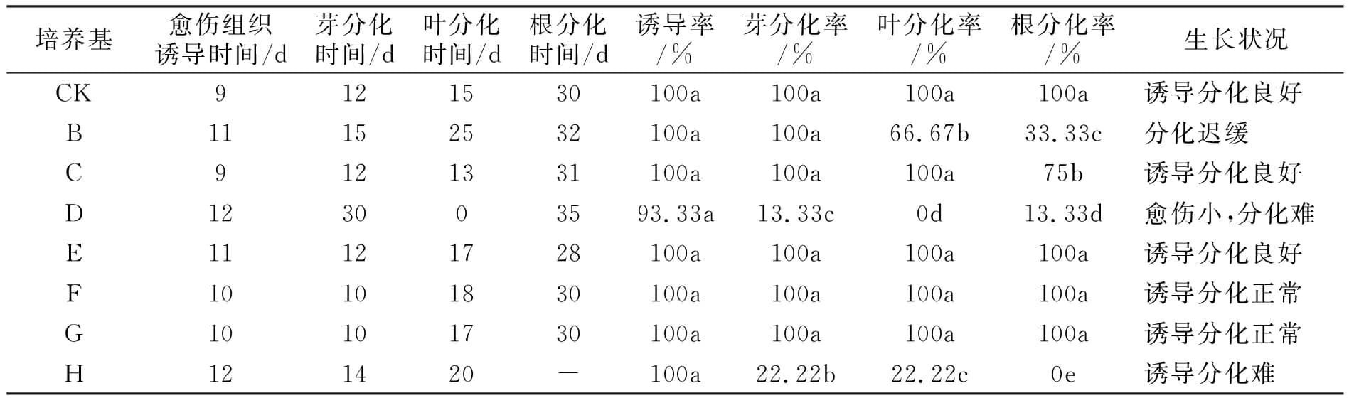 叼嘿下载视频设计图