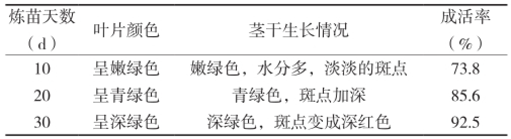 叼嘿下载视频室设计