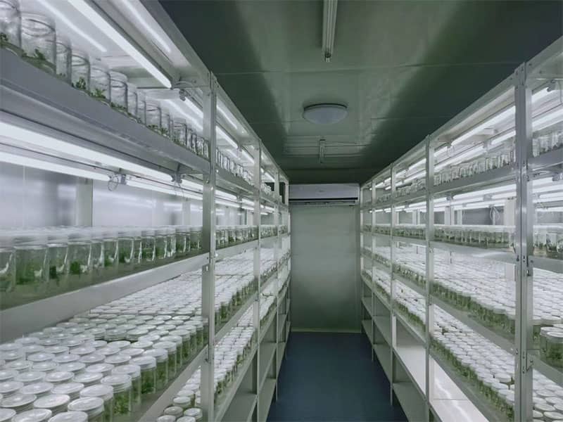 叼嘿下载视频  叼嘿下载视频设备  植物叼嘿下载视频