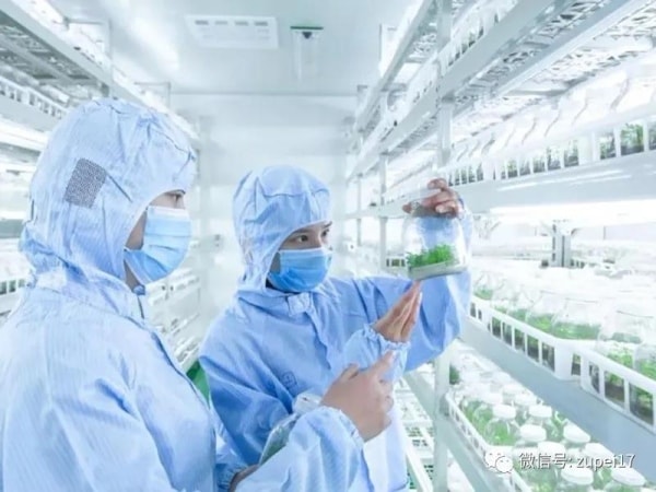 叼嘿下载视频室建设