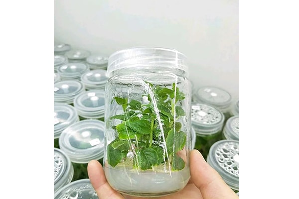 叼嘿下载视频设备
