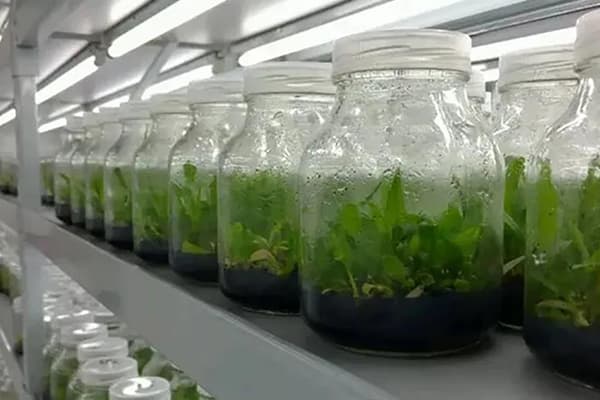 叼嘿下载视频设备