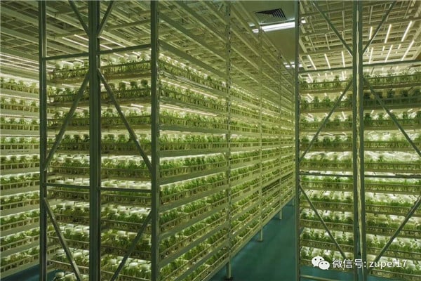 叼嘿下载视频仪器设备