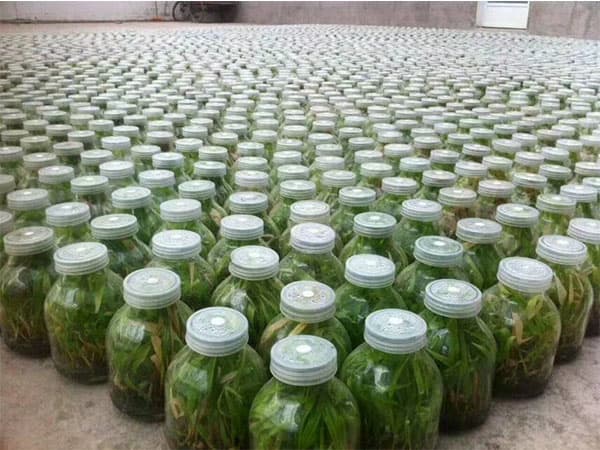 叼嘿下载视频  叼嘿下载视频瓶