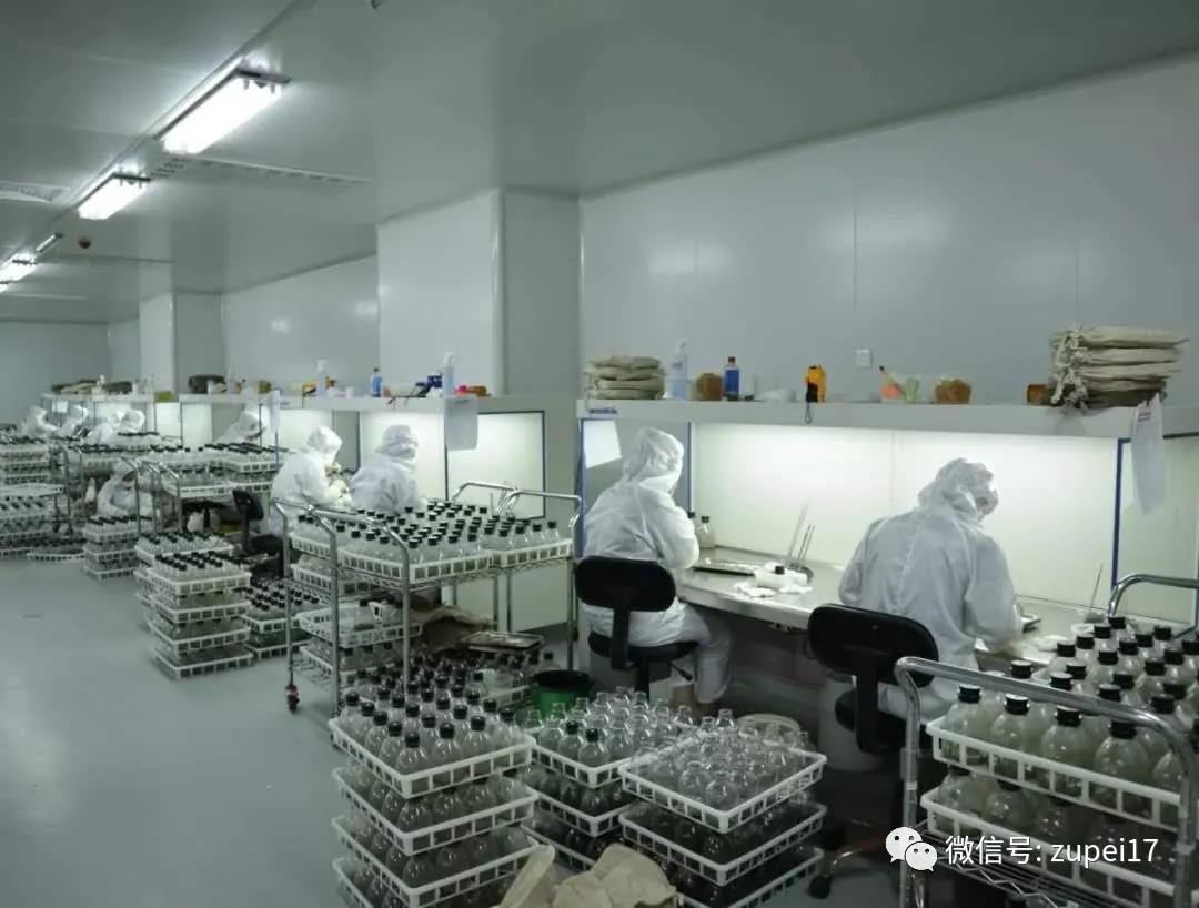 叼嘿下载视频
